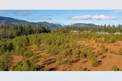 499 Laurel Road, Cave Junction, OR 97523 - Photo 7