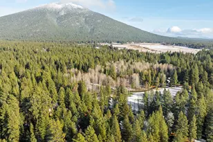 13210 Hawks Beard, Black Butte Ranch, OR 97759 - Photo 53