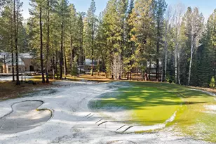 13210 Hawks Beard, Black Butte Ranch, OR 97759 - Photo 59