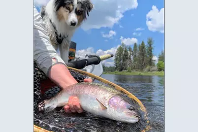 3355 Kircher Road, Chiloquin, OR 97624 - Photo 15