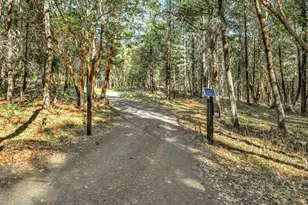 145 Lomas Rd, Jacksonville, OR 97530 - Photo 45