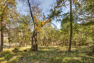 145 Lomas Rd, Jacksonville, OR 97530 - Photo 69