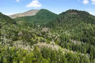 778 Pack Ln, Glendale, OR 97442 - Photo 49