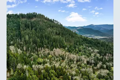 778 Pack Lane, Glendale, OR 97442 - Photo 55