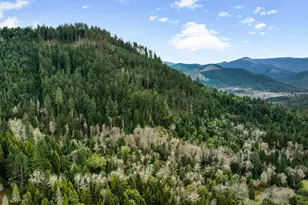 778 Pack Ln, Glendale, OR 97442 - Photo 55