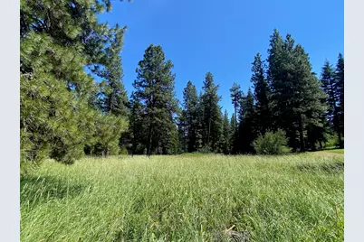 19009 Dead Indian Memorial, Ashland, OR 97520 - Photo 13