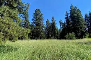 19009 Dead Indian Memorial, Ashland, OR 97520 - Photo 13