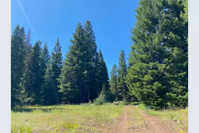 19009 Dead Indian Memorial, Ashland, OR 97520 - Photo 19