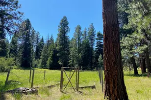 19009 Dead Indian Memorial, Ashland, OR 97520 - Photo 23