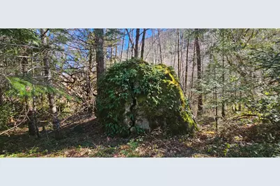 0 Caves Highway, Cave Junction, OR 97523 - Photo 15