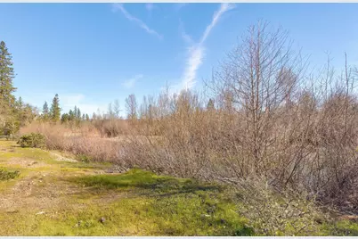 5737 Rockydale Road, Cave Junction, OR 97523 - Photo 19