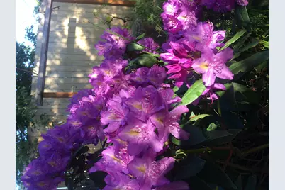 100 Christian Avenue, Talent, OR 97540 - Photo 21