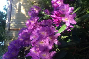 100 Christian Ave, Talent, OR 97540 - Photo 21