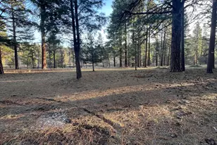 Overland Dr, Klamath Falls, OR 97603 - Photo 1