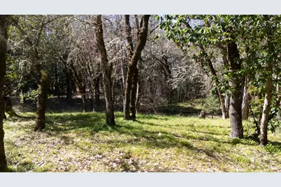 24524 Redwood Highway, Kerby, OR 97531 - Photo 5