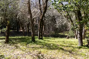 24524 Redwood Hwy, Kerby, OR 97531 - Photo 5