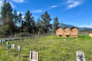 13990 N Applegate Rd, Applegate, OR 97530 - Photo 25