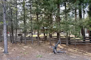 146514 Bills Rd, Gilchrist, OR 97737 - Photo 27