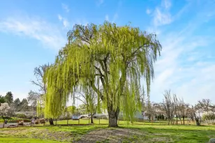 2331 Old Stage Rd, Medford, OR 97502 - Photo 35