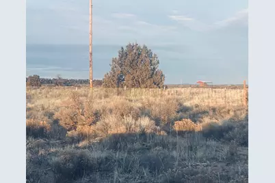 Honey Do Lane #TL 2500, Christmas Valley, OR 97641 - Photo 3