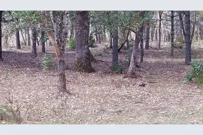 Redwood Highway, Cave Junction, OR 97523 - Photo 3