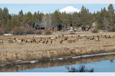 55635 Gatehouse Lane, Bend, OR 97707 - Photo 51