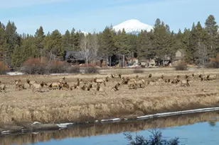 55635 Gatehouse Ln, Bend, OR 97707 - Photo 51