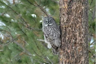 55635 Gatehouse Lane, Bend, OR 97707 - Photo 55