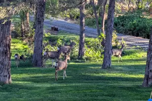 905 SW Burns Ln, Madras, OR 97741 - Photo 5