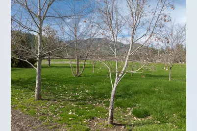 15902 Water Gap Road, Williams, OR 97544 - Photo 51