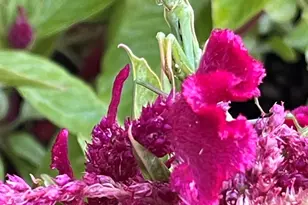 404 Lindilu Ln, Cave Junction, OR 97523 - Photo 59