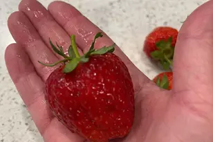 404 Lindilu Ln, Cave Junction, OR 97523 - Photo 49