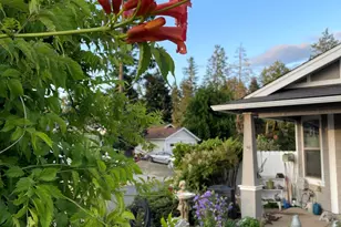 404 Lindilu Ln, Cave Junction, OR 97523 - Photo 57