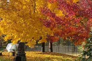 916 Ferry Rd, Grants Pass, OR 97526 - Photo 5