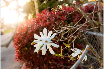 22 SW Elm Street, Grants Pass, OR 97526 - Photo 15