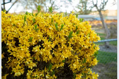 22 SW Elm Street, Grants Pass, OR 97526 - Photo 25