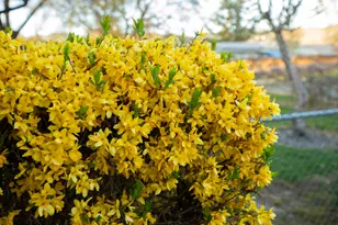 22 SW Elm St, Grants Pass, OR 97526 - Photo 25