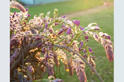 22 SW Elm Street, Grants Pass, OR 97526 - Photo 23