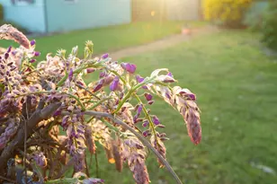 22 SW Elm St, Grants Pass, OR 97526 - Photo 23