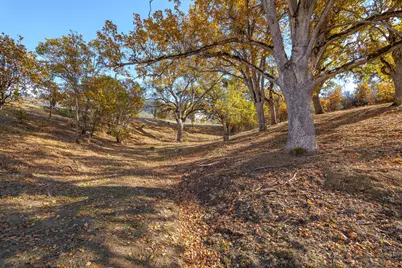 7499 Highway 238, Jacksonville, OR 97530 - Photo 49