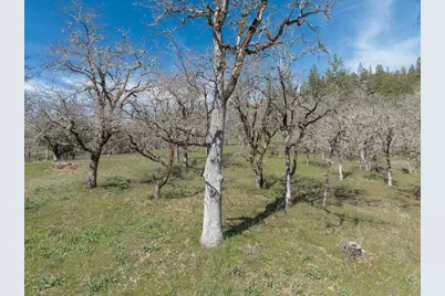 300 Colonial Drive, Grants Pass, OR 97526 - Photo 61