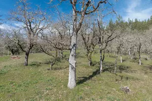 300 Colonial Dr, Grants Pass, OR 97526 - Photo 49