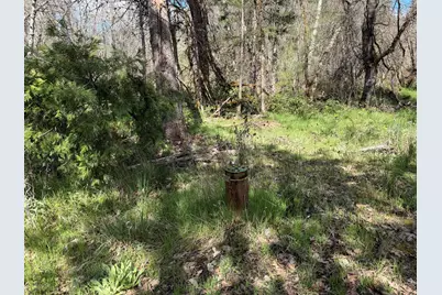 5812 Donaldson Road, Grants Pass, OR 97526 - Photo 33