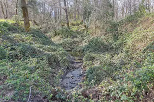 444 Sheraton Dr, Williams, OR 97544 - Photo 55