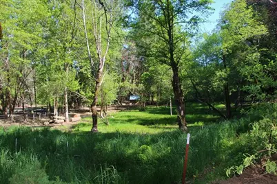 101 Cascade Drive, Cave Junction, OR 97523 - Photo 13