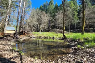 101 Cascade Dr, Cave Junction, OR 97523 - Photo 9