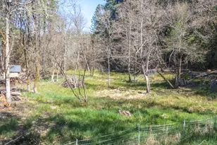 101 Cascade Dr, Cave Junction, OR 97523 - Photo 17