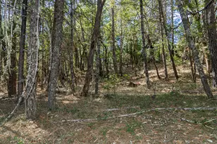 950 Bear Creek Rd, Cave Junction, OR 97523 - Photo 25