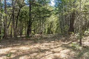 950 Bear Creek Rd, Cave Junction, OR 97523 - Photo 29