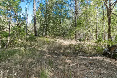 950 Bear Creek Road, Cave Junction, OR 97523 - Photo 23